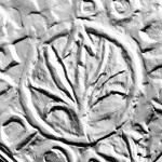 2013_10___denar_chrobrego_5zl_det2