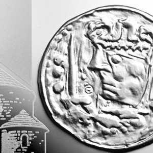 2013_14___denar_smialego_5zl_det2